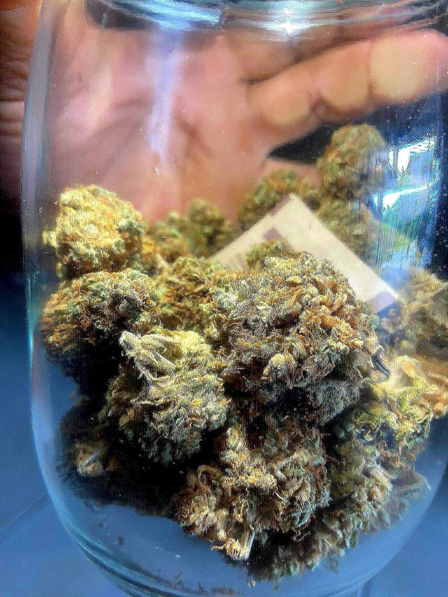 NerdlabW's tweet photo. สวัสดีค่ะวันนี้เราจะนำเสนอ ดอกกัญชา gorilla cookie เหมาะสำหรับการใช้ตอนช่วงกลางวันค่ะ และในส่วนของเอคเฟคคือจะช่วยคลายเครียดและผ่อนคลายหัว ในด้านของ���ลิ่นจะเป็นกลิ่นขนม ช่วงปลายจะมีรสของผลไม้ THC24% 280/G #กัญชา #กัญชาog #กัญชาเสรี #กัญชาโอจี https://t.co/IYb5HdMjSh