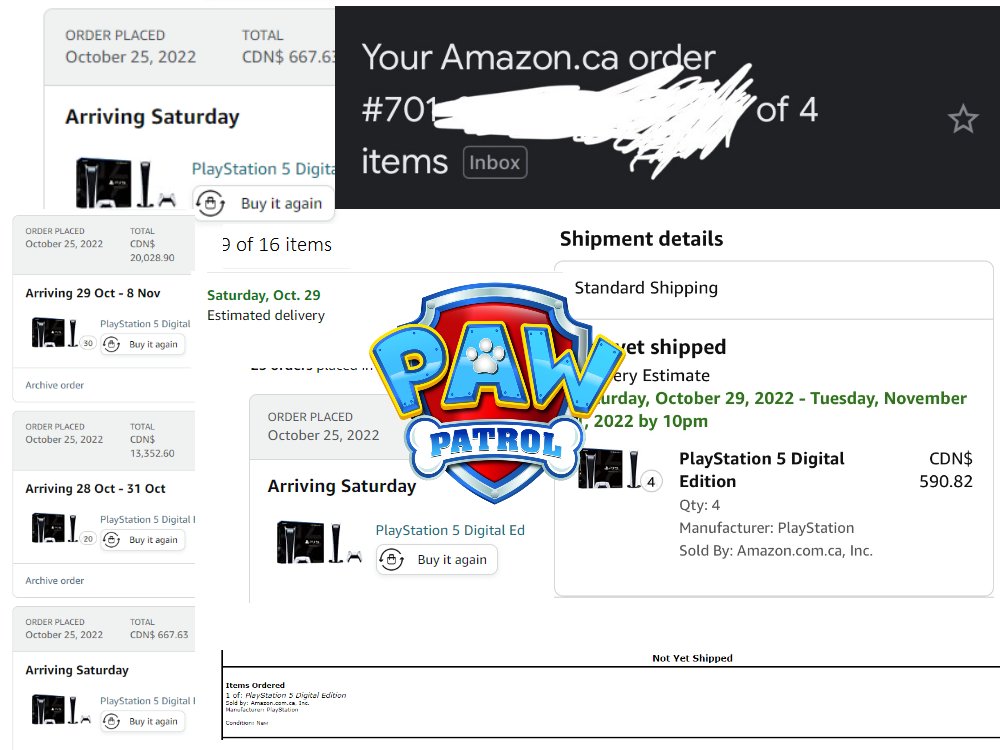 Did you catch that Amazon CA Shock Drop?

Paw FNF members were instantly notified about the release and TOOK THE STOCK 🔥

Who wants to join the family?