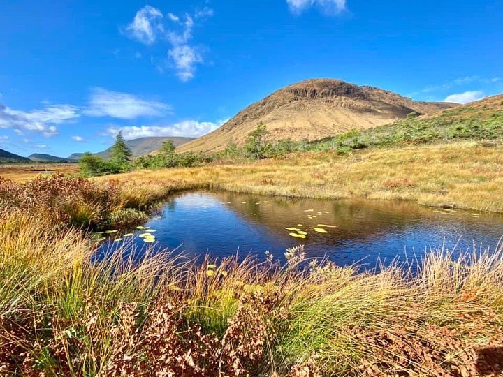 trevorhinks's tweet photo. Cabox Mountain Hike https://t.co/LRaLVsKs6e