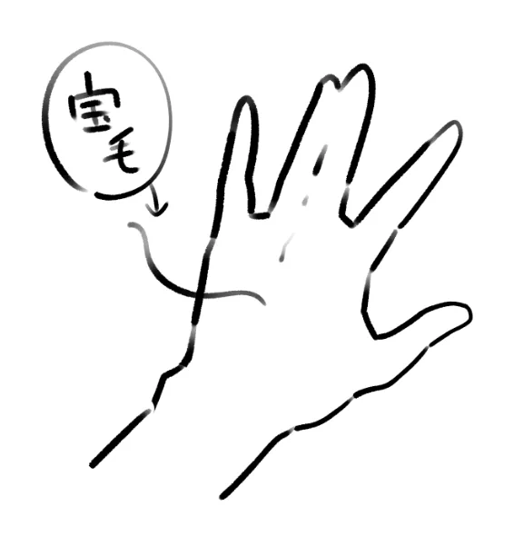 俺の左手の甲にはまぁまぁ長い宝毛が宿ってるんだ
いつの間にか抜けてまた生えてくる不思議な毛 