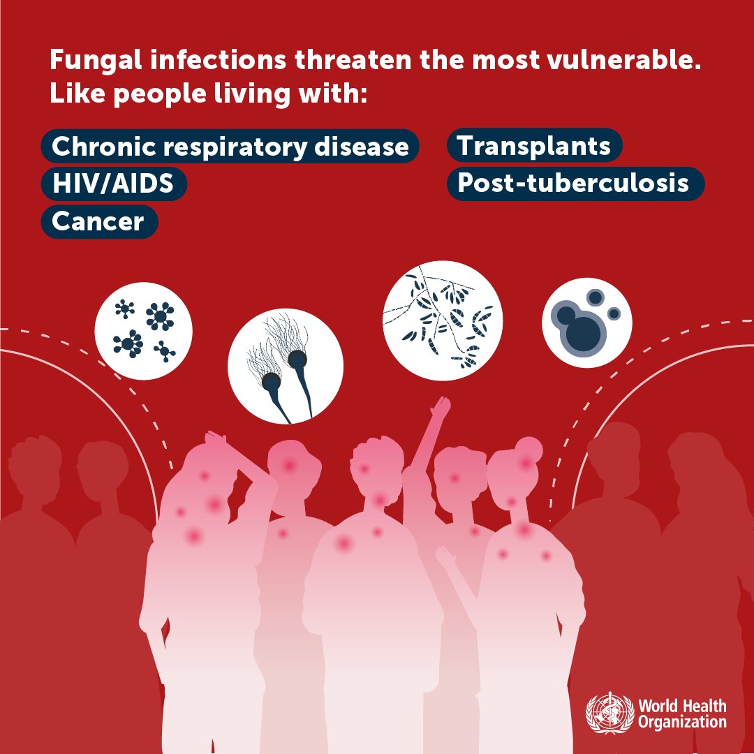 Invasive fungal infections often affect severely ill patients & those with significant underlying immune- related conditions, incl.: 🔸#cancer 🔸HIV/AIDS 🔸chronic respiratory disease 🔸post-primary #tuberculosis infection 📌 bit.ly/3N6QcBi