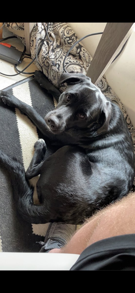 BVenatta99's tweet photo. Please wish my Millie a happy birthday. She is my precious angel https://t.co/UdqJWwyGY3
