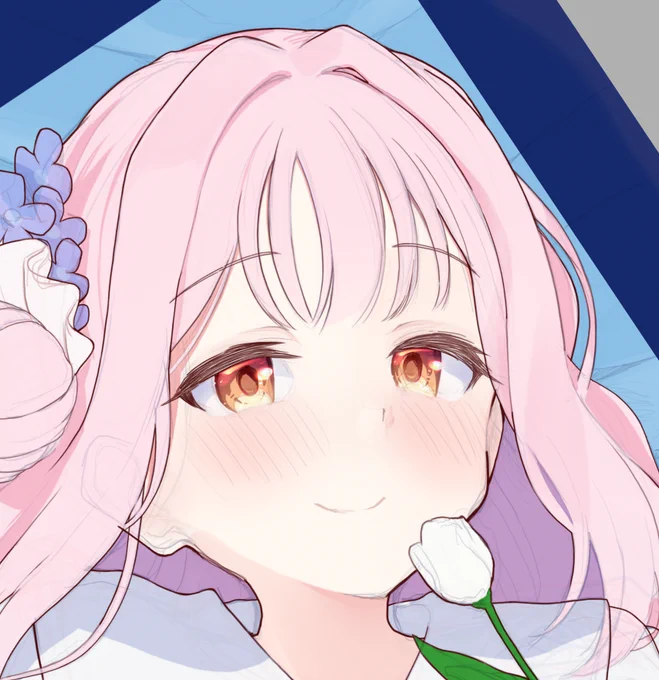 おめめきらきらみそのみか 