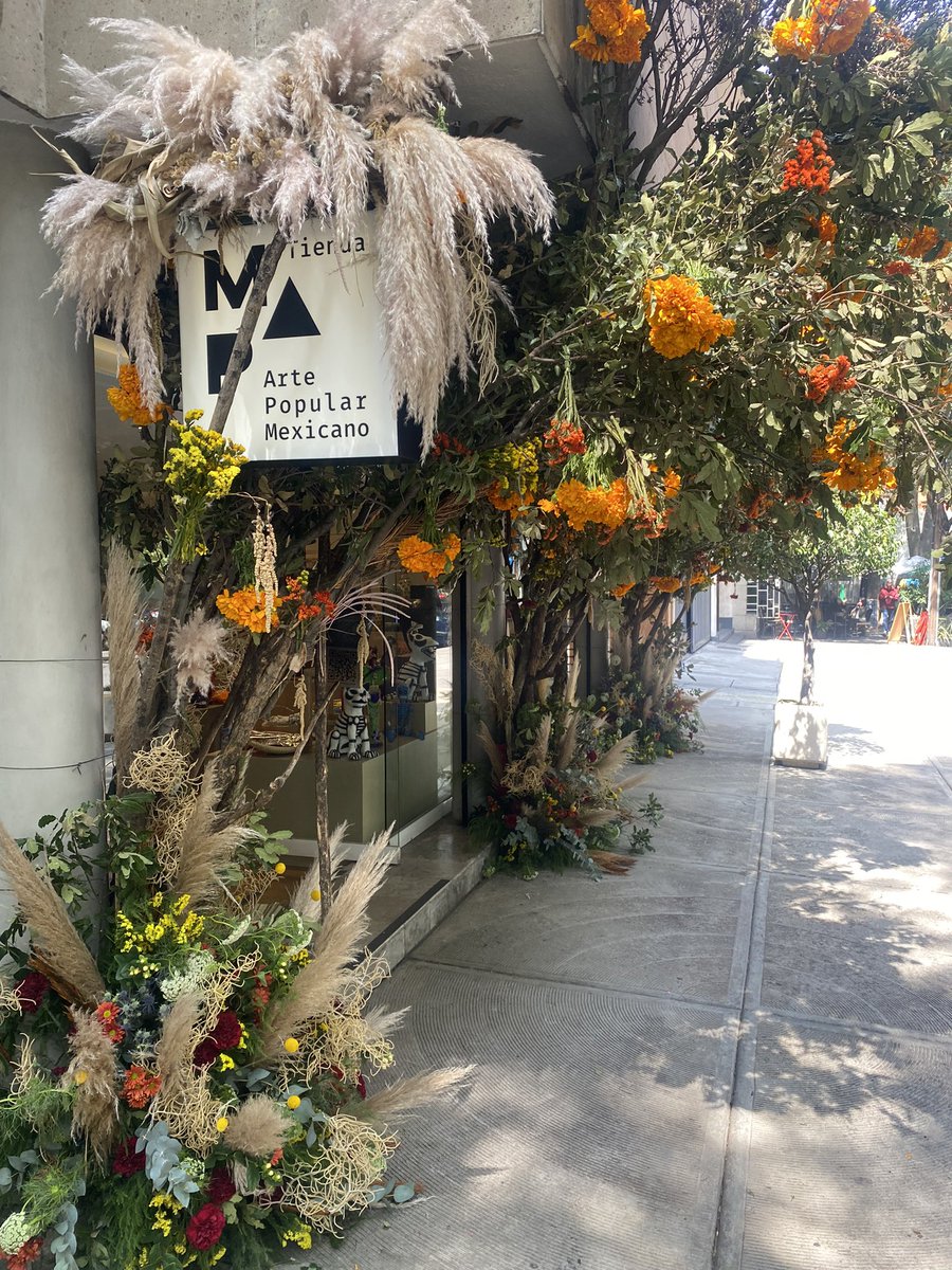 Nuestra fachada en <a href="/tiendamapmx/">Tienda del Museo de Arte Popular</a> recibió una mención especial por sustentabilidad. 😇