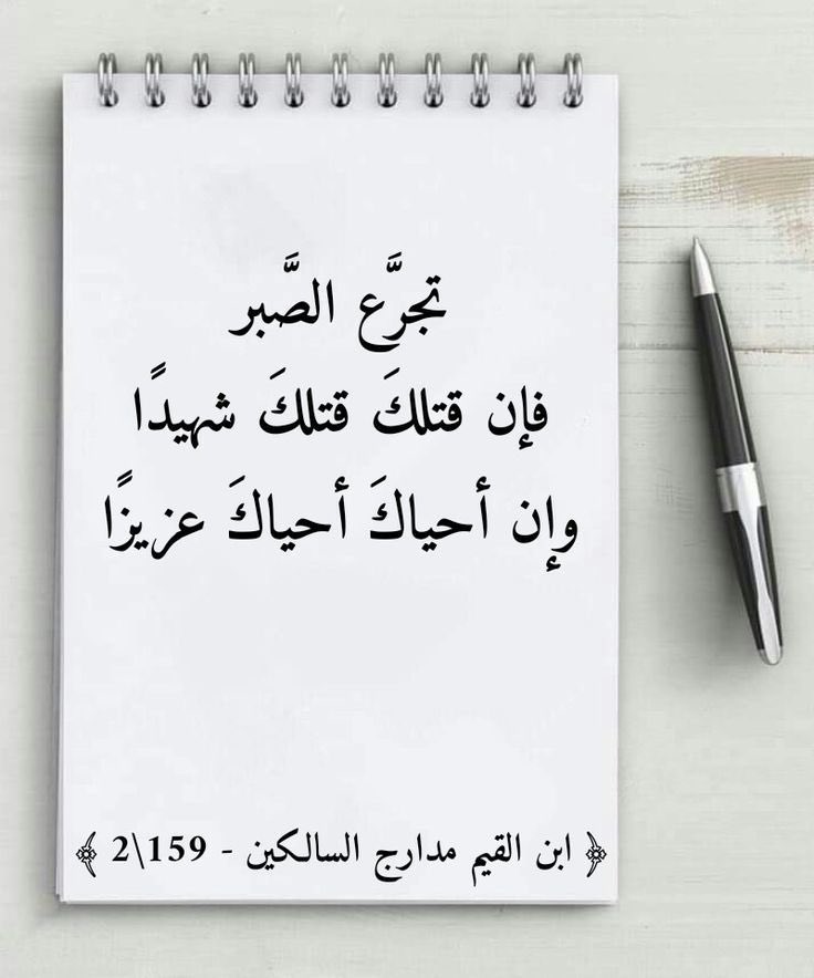 wasen__'s tweet photo. https://t.co/jPvxBpxmrK