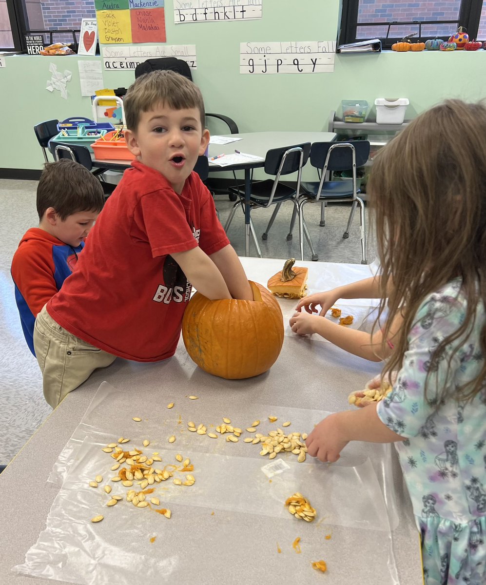 BrookhavenBulls's tweet photo. Kindergarten learns pumpkin adjectives using all 5 senses! Our pumpkins are slimy, gooey, hard, round, smelly, hollow, and orange! https://t.co/r1wdV1Ey3B