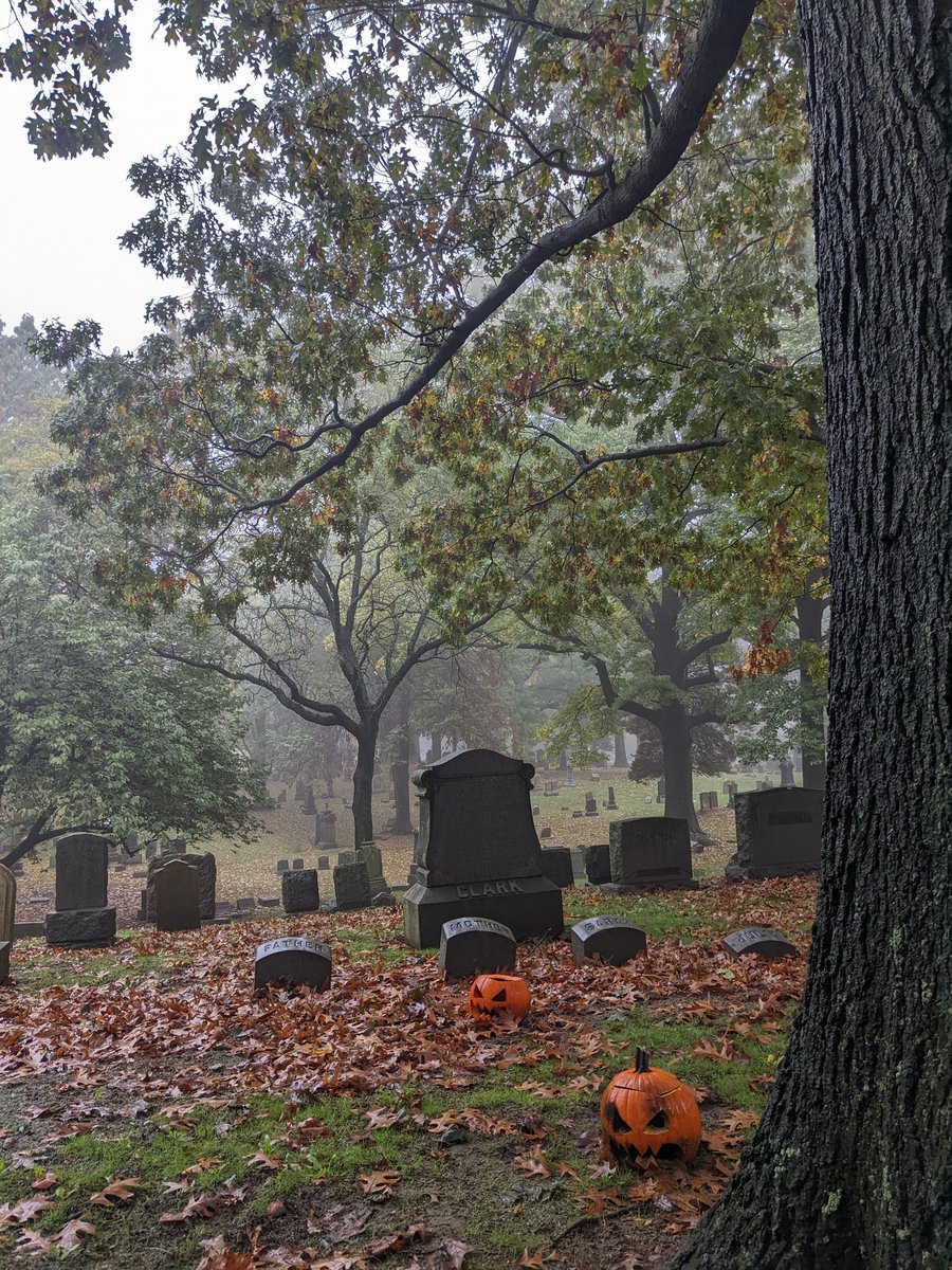 papermashea's tweet photo. i hadn't seen a "dense fog" weather alert before today and i am not mad about it https://t.co/TH1M7MZMsK