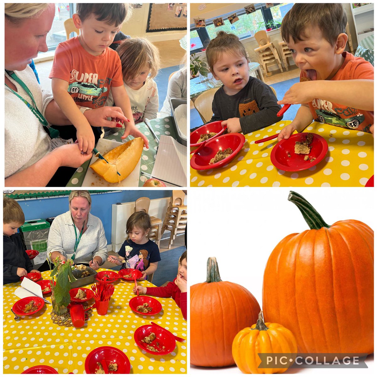 The children’s interest in pumpkins continues to grow, today A suggested ‘let’s make a pumpkin pie!’… so using some of our pumpkins and apples from our apple tree we made a pie 🎃 Very tasty!