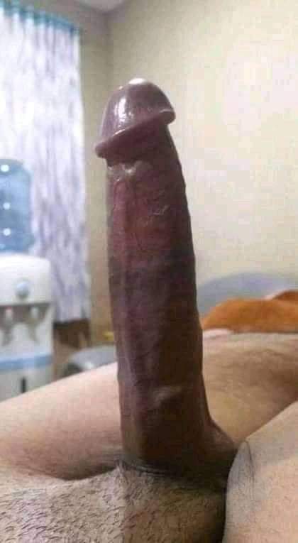 فحل السودان في ليبيا tweet media