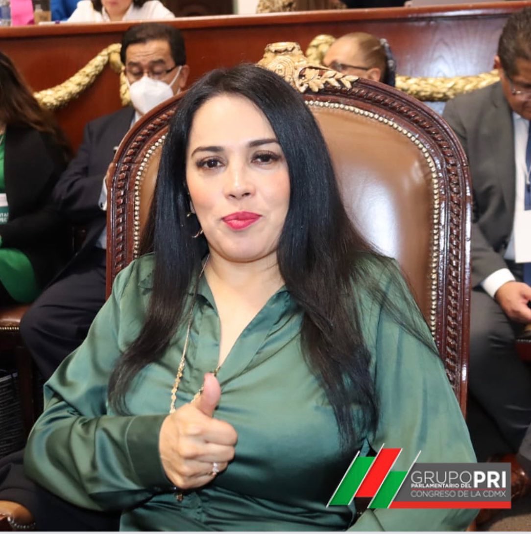 gp_pricdmx's tweet photo. Nuestros diputados presentes en la Comparecencia ante el pleno del @Congreso_CdMex de la titular de Finanzas de la CDMX Luz Elena González Escobar
#gppricdmx #delamanoconlagente https://t.co/KaXBA5LyIZ