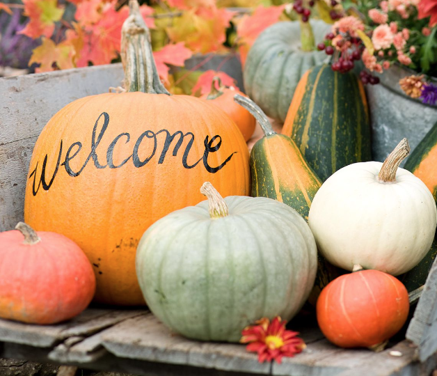 This Friday, Oct. 28 from 4:00-6:00pm is our monthly social gathering in Scarfe Building room 310. 
It promises to be spooktacular whether you choose to dress up for Halloween or not. 
Board games and snacks are available and lots of chances to meet other grad students.