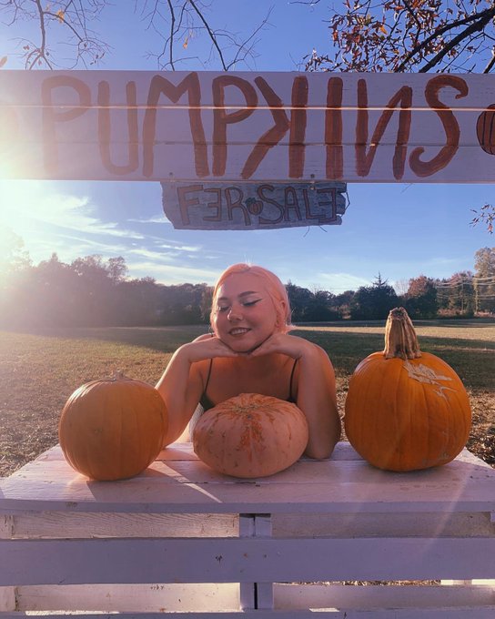 🎃 #pumpkinpatch #pumpkins #fall #autumn #fallaesthetic https://t.co/GSz9Bu80VG<a href="/tag/pumpkinpatch"class="tags">#pumpkinpatch</a><a href="/tag/pumpkins"class="tags">#pumpkins</a><a href="/tag/fall"class="tags">#fall</a><a href="/tag/autumn"class="tags">#autumn</a><a href="/tag/fallaesthetic"class="tags">#fallaesthetic</a>