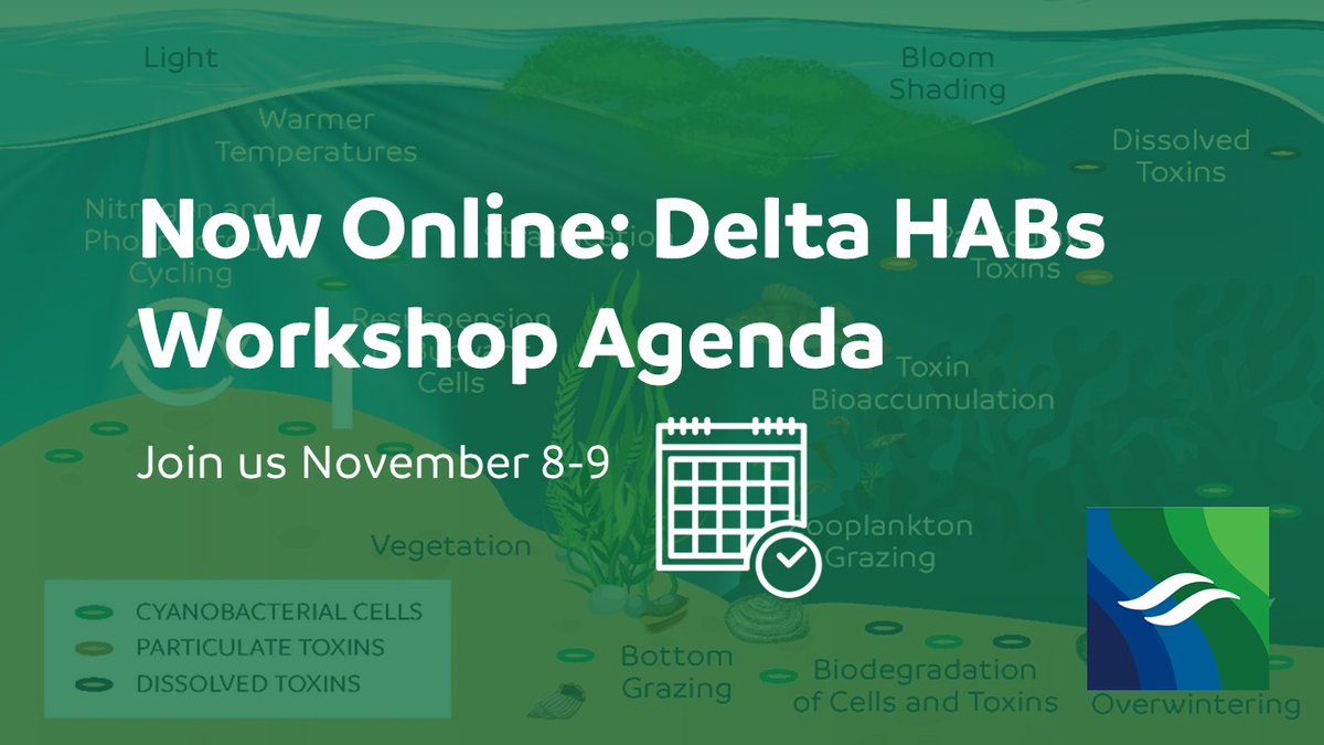 The agenda for our Delta Science Program's #DeltaHABsStrategy Workshop is now online!

🟢 Nov 8 will focus on creating a coordinated monitoring strategy. 

🟢 Nov 9 will focus on data sharing + integration.

Download the materials + register to attend ➡ conta.cc/3W107g1.
