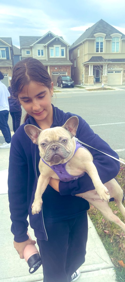 New class mascot? M’s pup, Lola, found  us on our class speed walk today.