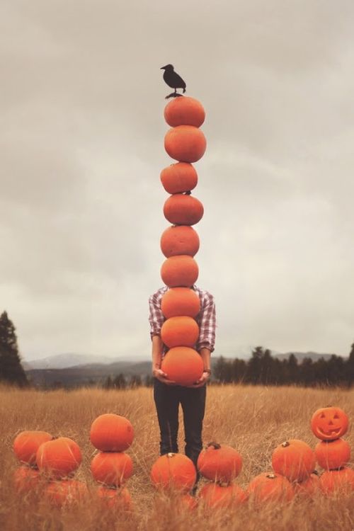 Leaving the pumpkin patch like.... 😂
🎃🍂🎃☕️🎃👻🎃🦇🎃🍂🎃
#Halloween #Halloween2022 #pumpkinday