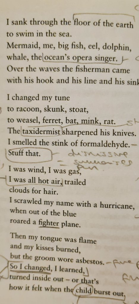 Catherine Silk tweet media