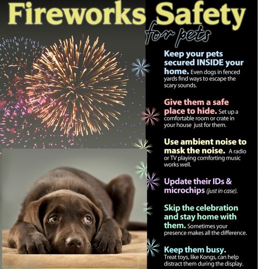 It is that time of the year again. We are starting to see the number of strays coming into the shelter rise. Thankfully, we are finding most of their owners. It can be a very stressful time for pets so please take extra care of them for the next few days.#fireworksarescaryforpets