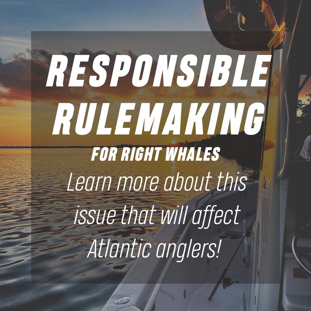 We all want to protect North Atlantic right whales, but the rule proposed by NMFS falls short and will be unnecessarily devastating to Atlantic coast anglers. Learn more and chime in!  ➡️ csf.salsalabs.org/rightwhale2022/