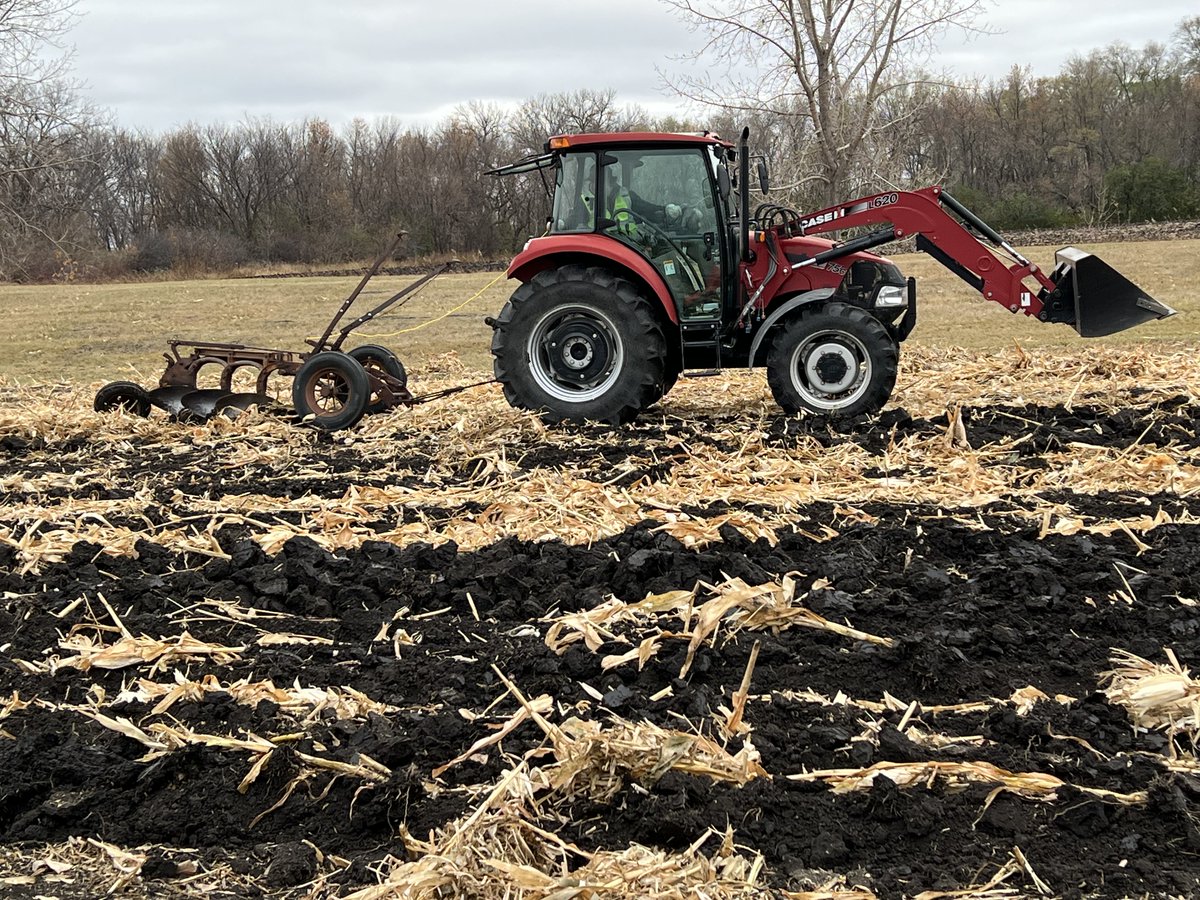 Plowing the annual corn patch old school.