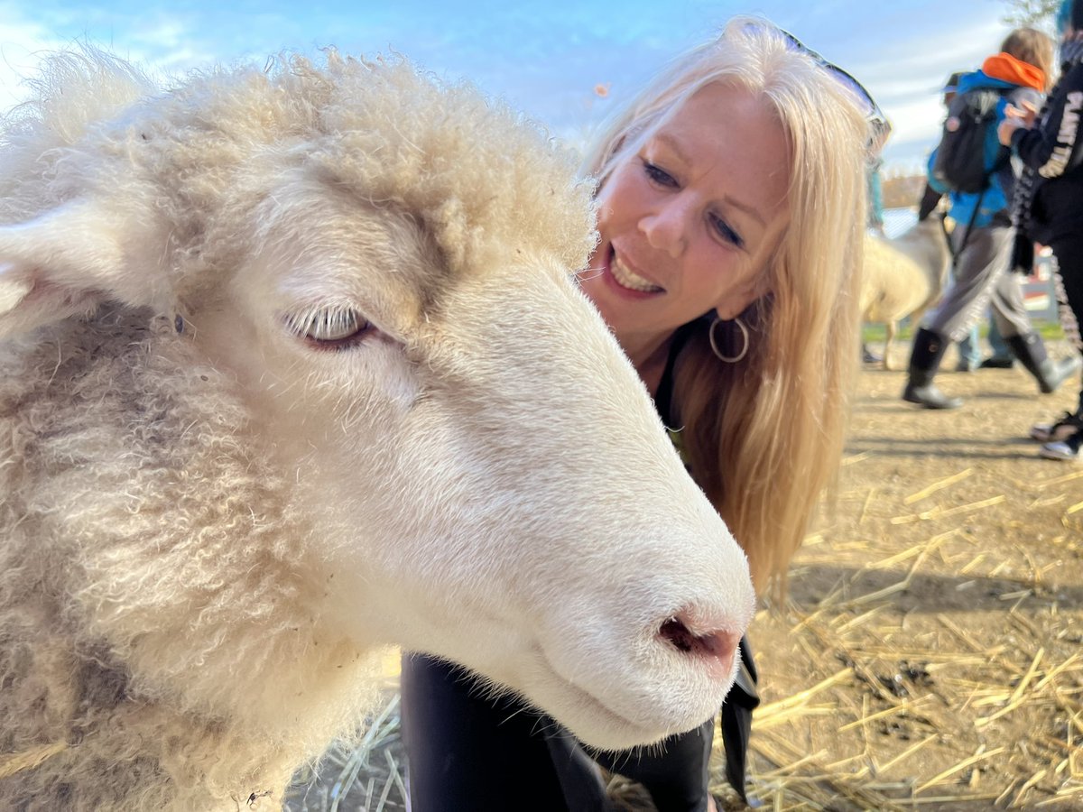 Big smiles at @FarmSanctuary woth happy #sheep and #goat𓃵 especially meaningful after @azulvegansxe and @LouiseJorge see the opposite #bearingwitness at @animalsavemvmt vigils