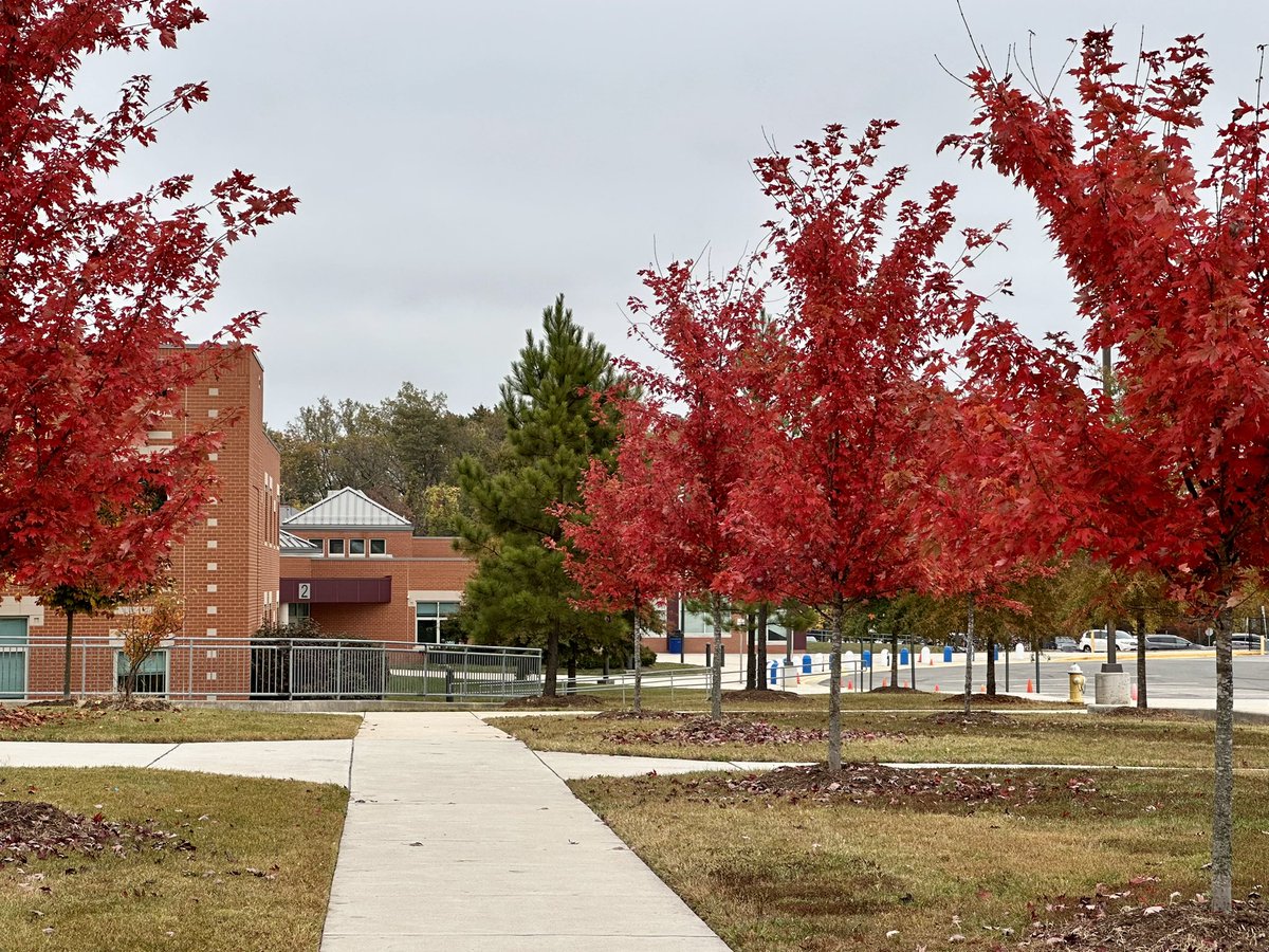 Such a gorgeous view at school. Fall in Virginia is beautiful!!  🍂🍁🍃 <a href="/FCPSR3/">FCPS Region 3</a> <a href="/fcpsnews/">Fairfax Schools 🌟</a>