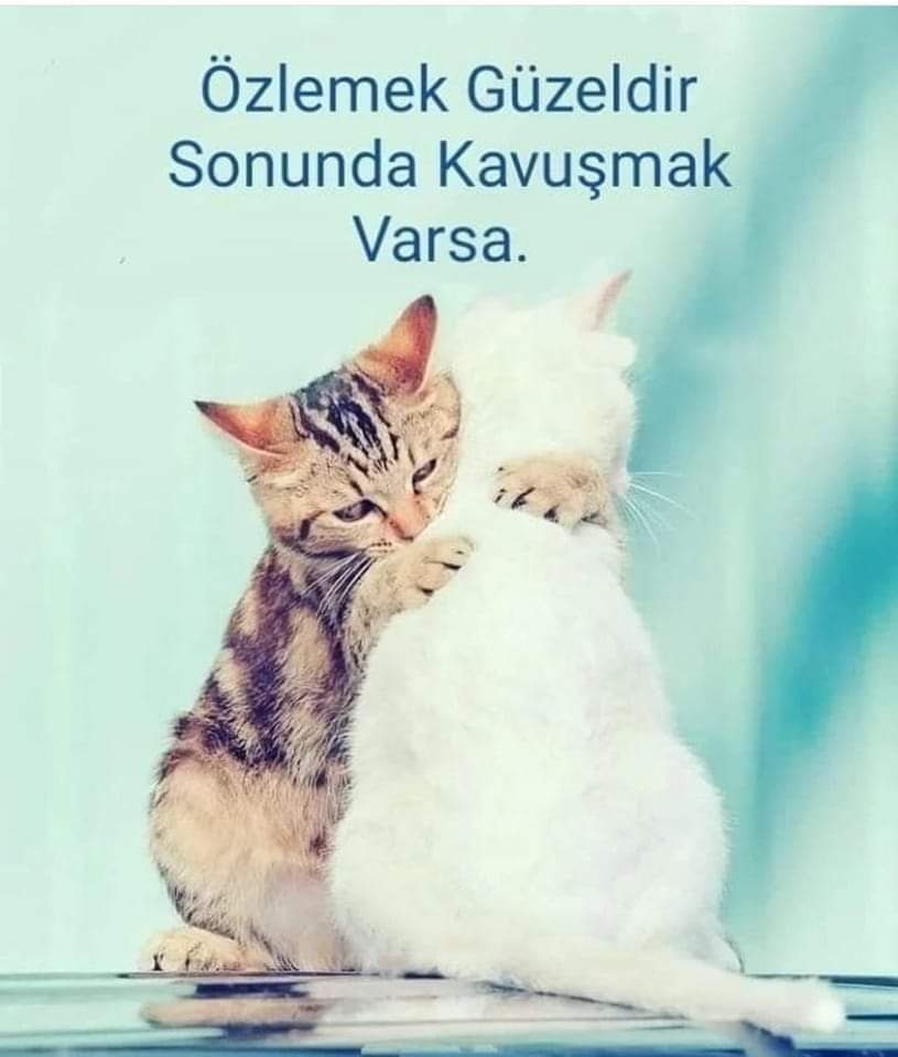 Sevmek sevilmekle güzelleşir