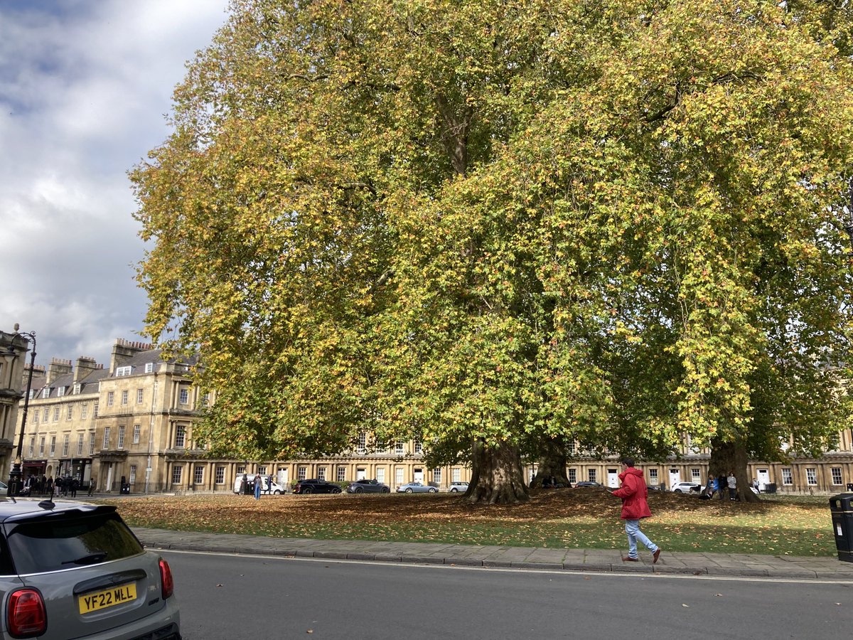 janelottering's tweet image. #Bath 💚