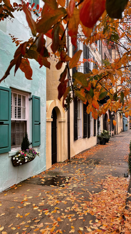 Discover_SC's tweet photo. Have you experienced fall in the Palmetto State? https://t.co/lUTm1rmNqf #DiscoverSC #FallinSC https://t.co/sLGdjvj488