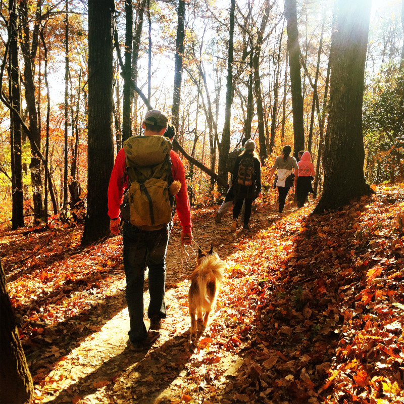 Discover_SC's tweet photo. Have you experienced fall in the Palmetto State? https://t.co/lUTm1rmNqf #DiscoverSC #FallinSC https://t.co/sLGdjvj488