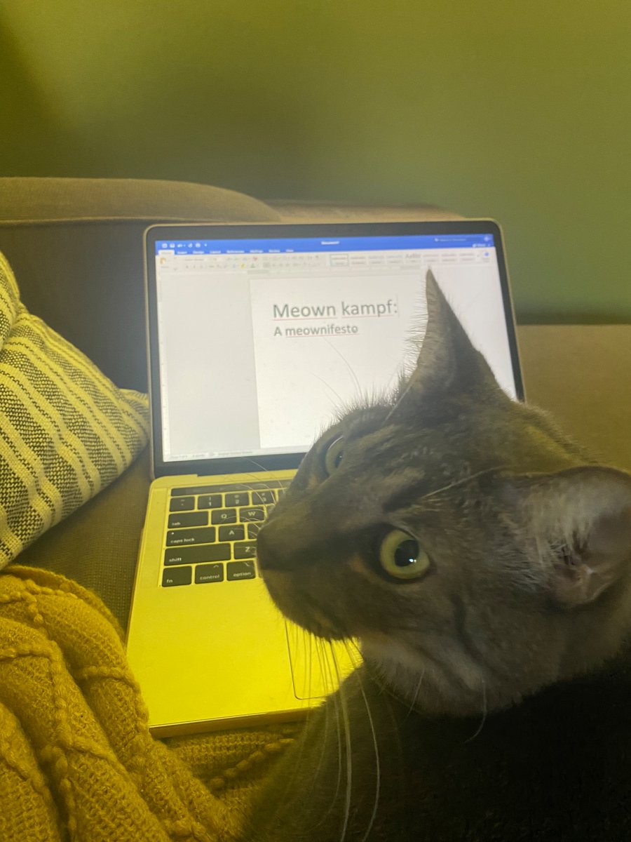 Olivia tweet media