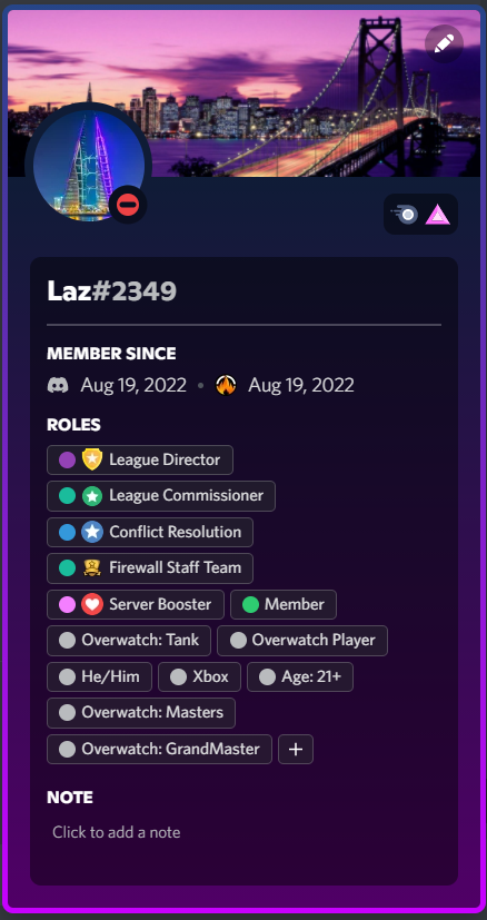 Discord profile themes look clean asf