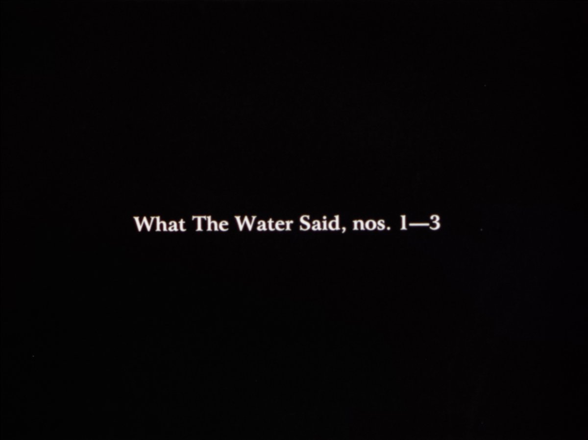 canyoncinema's tweet photo. WHAT THE WATER SAID, NOS. 1-3 (David Gatten, 1998, 16 min, 16mm)
Now streaming on Canyon Cinema Connects through October 29, free and worldwide: https://t.co/pGpO77OkMg
#CanyonCinemaDiscovered #PlayingintheDark #WateryExperiments #WhattheWaterSaid https://t.co/wXmMdEBVKt