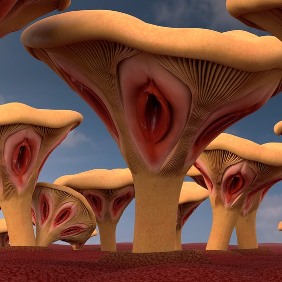 SuperRare Bot 💎 tweet media