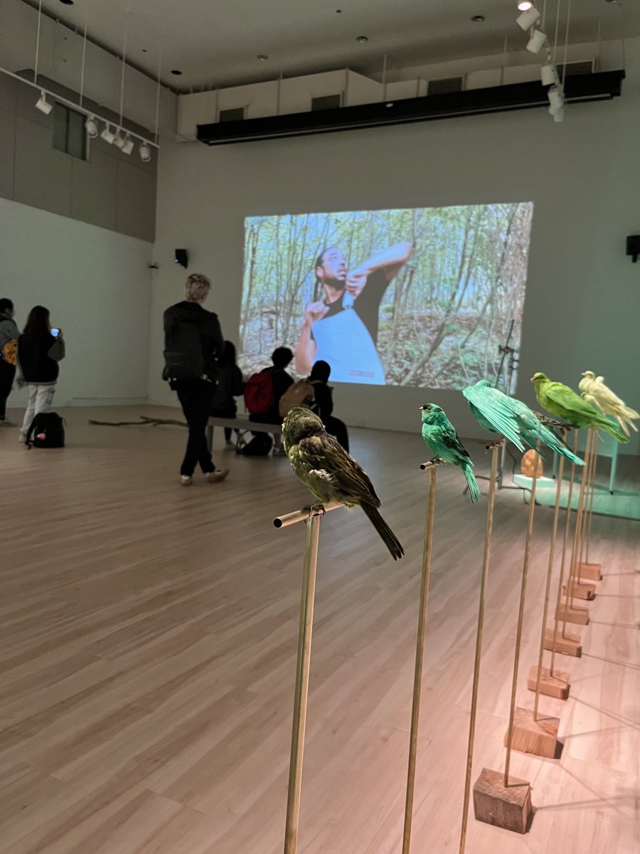 A view of our students studying the work of conceptual interdisciplinary artist Sofía Córdova for #NationalArtDay #LikeAHusky