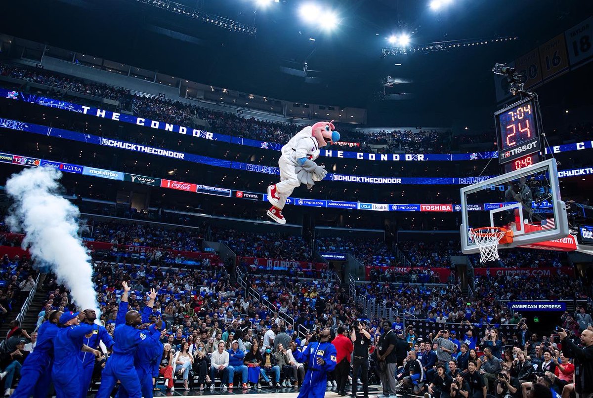 Chuck The Condor tweet media