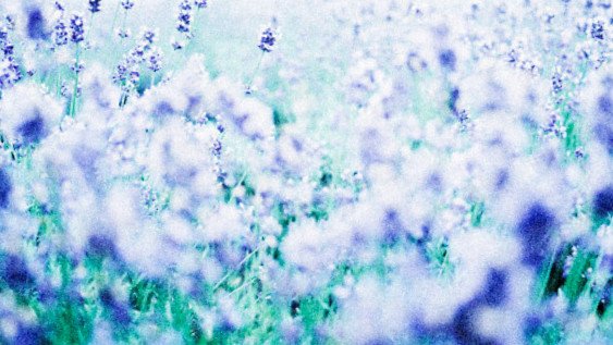 ͏ ͏ ͏͏ ͏͏ ͏ ͏͏ ͏ ͏ ͏  ͏ sky-bluè ⠀ ふ°⠀ lavanda.⠀⁷⁷⁷   𑁍   ͗  t.r.   lùvy:⠀𓇻   on. ) ⠀&amp;⠀ 经一决 ⠀𖥔ˑ °