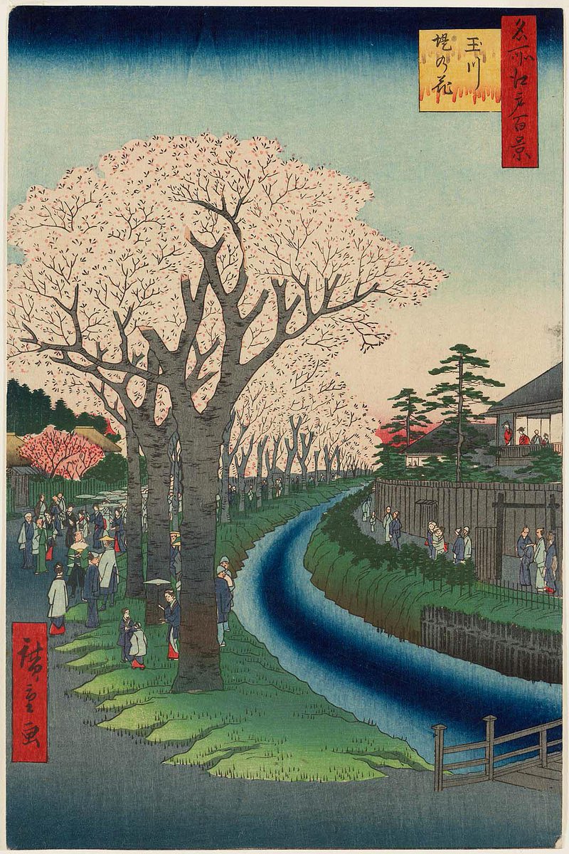 ando_hiroshige's tweet photo. Cherry Blossoms on the Tama River Embankment, from the 1850s series One Hundred Famous Views of Edo https://t.co/EL2pbZ5OLW