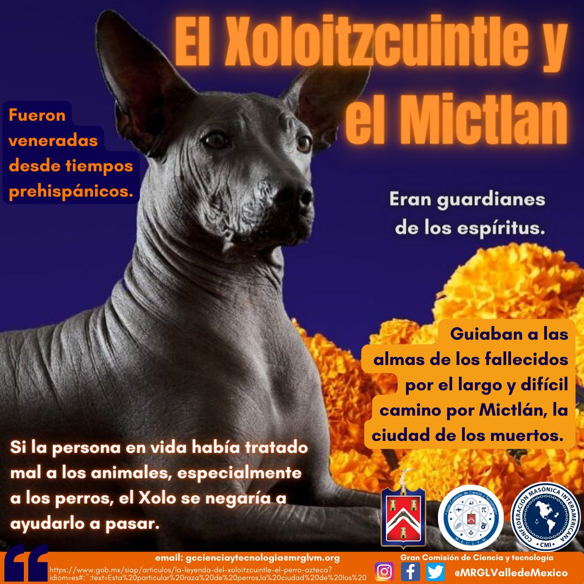 MRGLValleMexico's tweet photo. #xoloizcuintles #mictlan #mitologia #mexicas #mexicoprehispanico #masalla #perros #caninos #muerte #diademuertos #ofrendas #tradiciones #mitos #followforfollowback #sigueme #freemasonry #masoneria #mrglvm https://t.co/DCJDq8zKW7