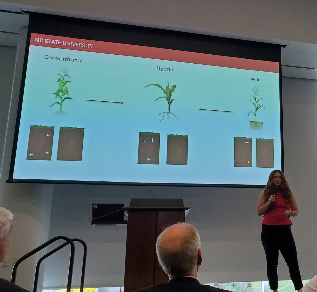dani_rose_12's tweet photo. So proud of Lily!! She gave a fantastic presentation during the graduate college 3MT finals competition! Excited to see what she discovers during a PhD work! I'm surrounded by so many talented scientists at State 🤘🐺👏🎉 https://t.co/Y6bIkT09TA