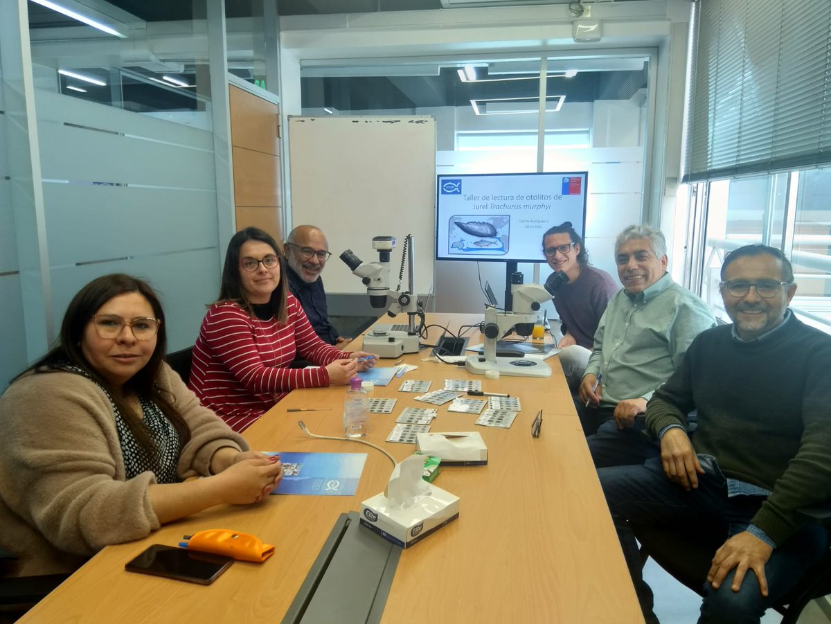 elcalbucanocl's tweet photo. #elcalbucano

Taller de homologación de nuevos criterios de determinación de edad de jurel

#calbuco #pargua #colaco #puluqui #guar

https://t.co/Y0li9t2EIk https://t.co/f0V0R3Aq1S