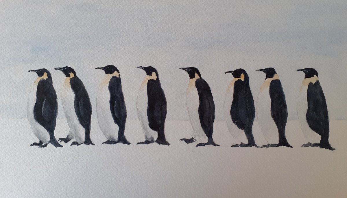 Penguins, todays work in progress
#penguins #originalwatercolour #painting #artwork