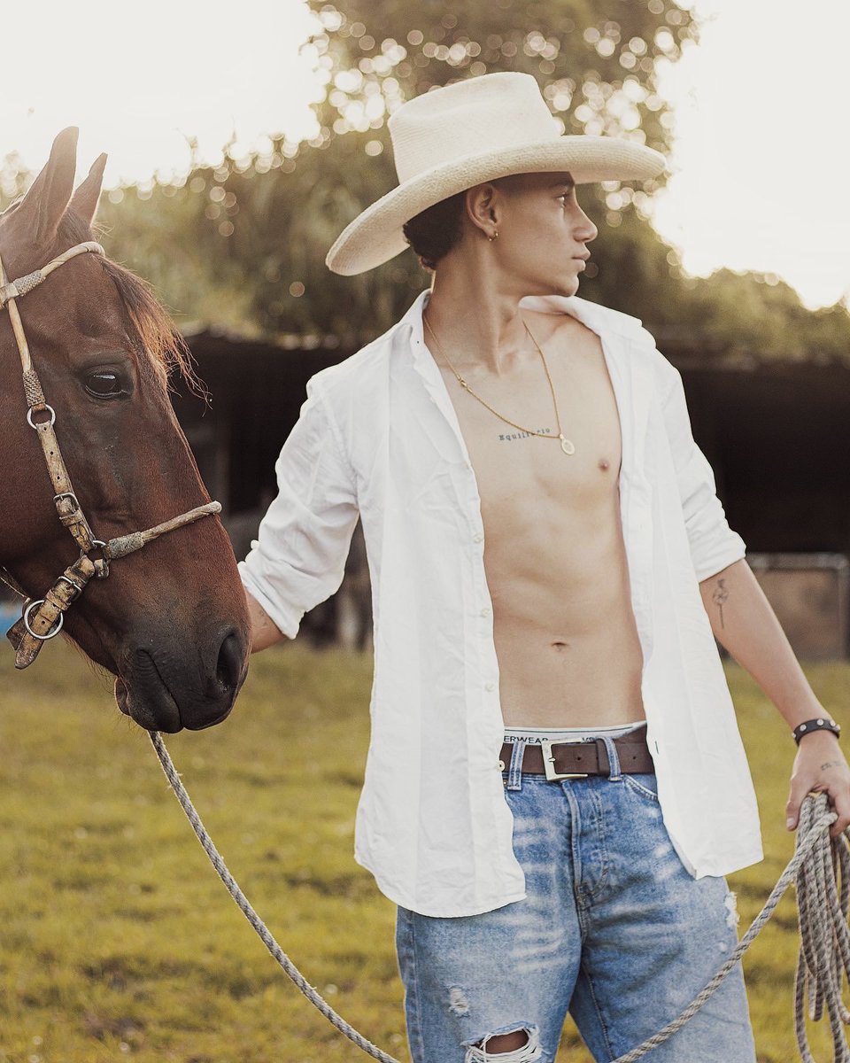 Tardes de caballo