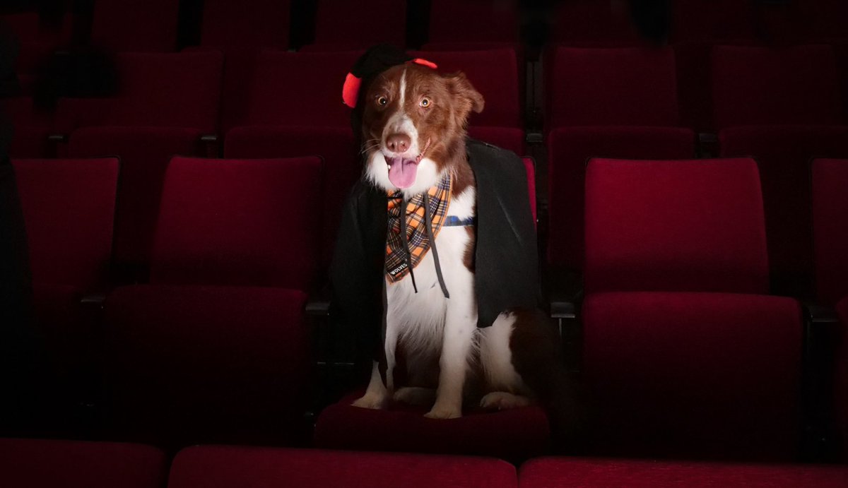 Your pet could haunt the studio for a year and you could win a bunch of delicious goodies 👻
Get your raffle tickethere: bats.co.nz/whats-on/haunt…