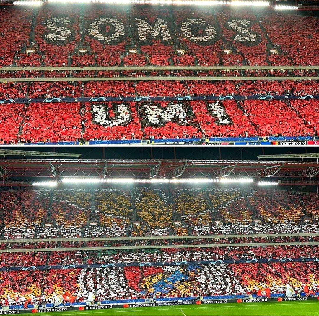 ultrasshopcom's tweet photo. Benfica vs Juventus 25/10/22🇵🇹 https://t.co/q5u36mDV4w