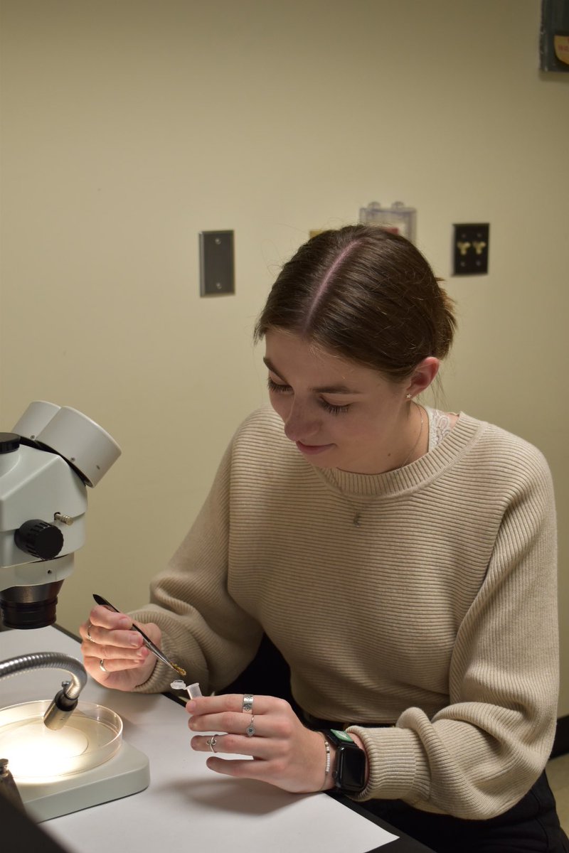 UNCG Biology (@bio_uncg) on Twitter photo Can you see yourself studying the impacts of grazing herbivores, insects, and microbial symbionts on grassland and forest community dynamics? 🌿🌾🐛 Learn more about the Komatsu #CommunityDynamics Lab by reaching out to <a href="/drkimkomatsu/">Kim Komatsu</a> Can you see yourself studying the impacts of grazing herbivores, insects, and microbial symbionts on grassland and forest community dynamics? 🌿🌾🐛 Learn more about the Komatsu #CommunityDynamics Lab by reaching out to <a href="/drkimkomatsu/">Kim Komatsu</a>