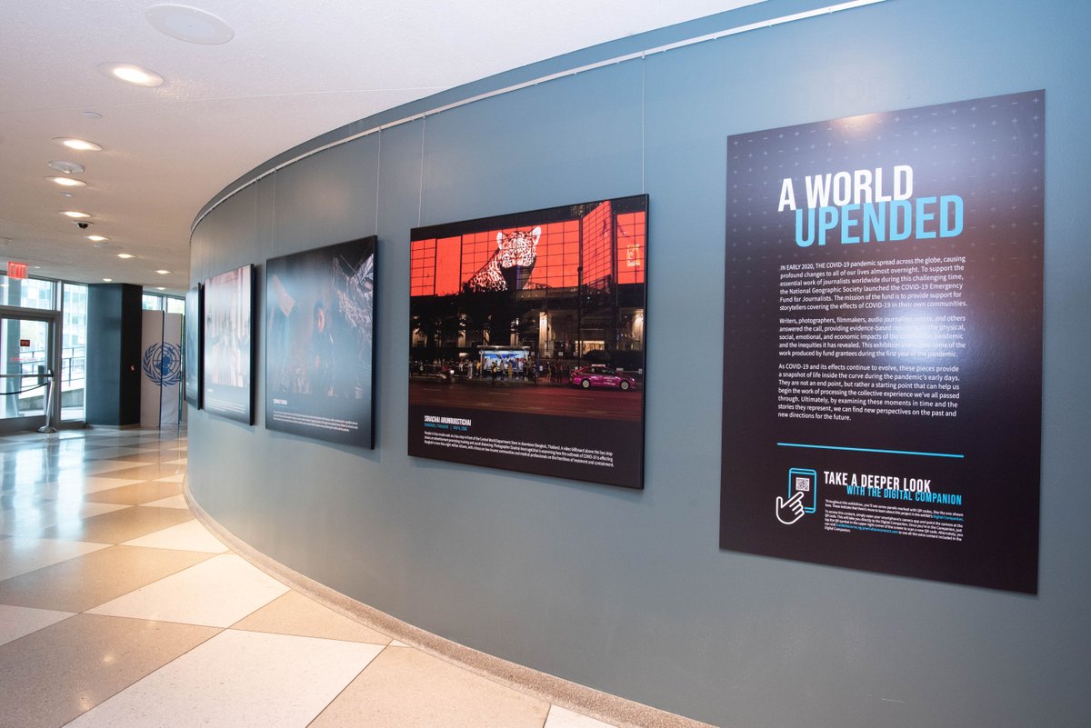 National Geographic Museum tweet media