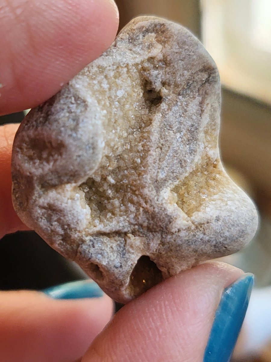 KrissiNixon's tweet image. Some coral fossil and possibly a brachiopod, Lake Huron. Few of my latest. Might be awhile depends on our winter... #fossilhunter #rockhound #puremichigan