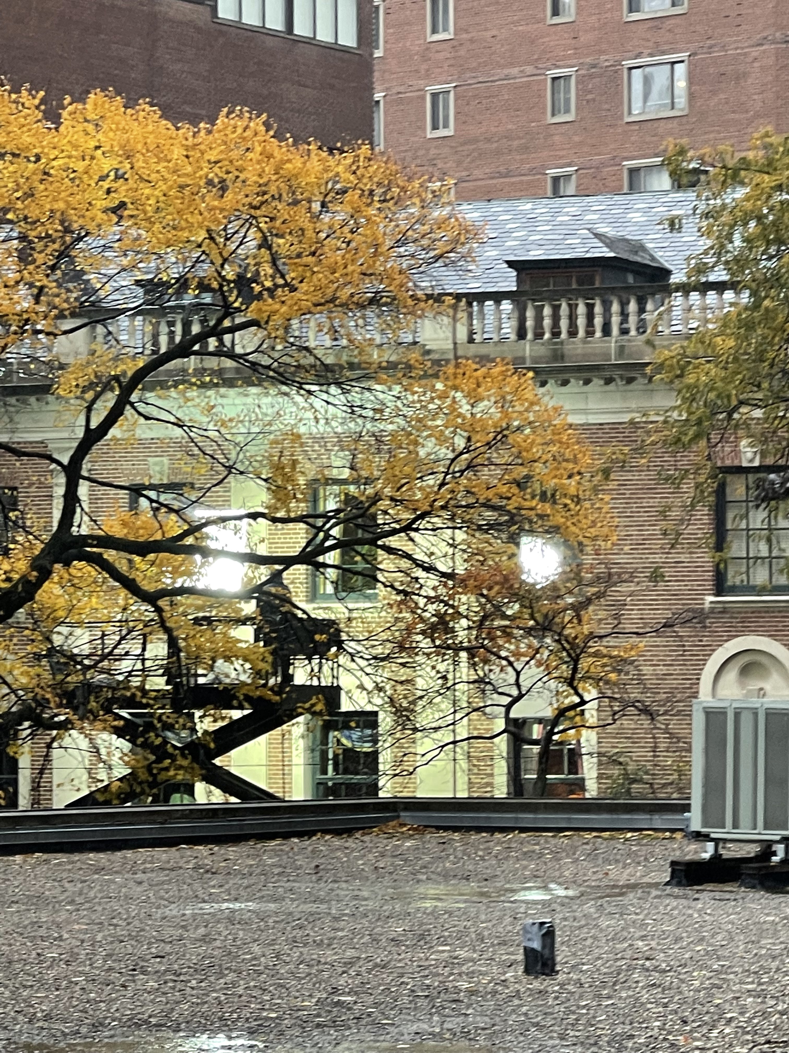 Filming in Chicago (filming_chicago) / Twitter