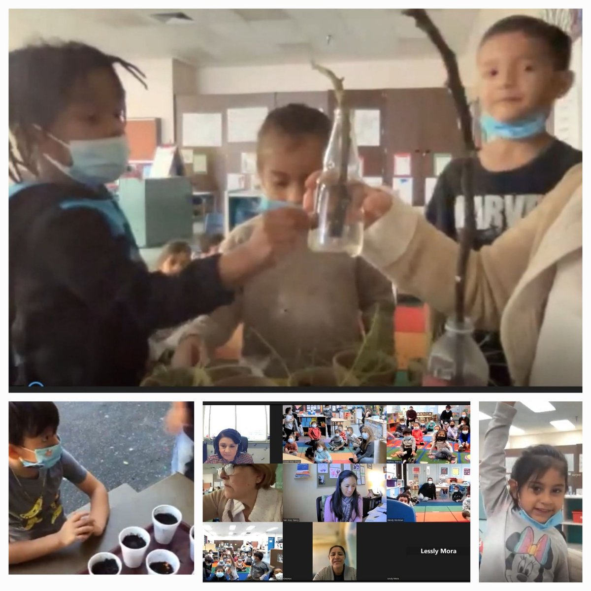 Preschool students presenting to our school community and guest the STEAM Problem they solved. "How to grow a plant or tree?". Using technology to learn and motivate others while answering questions based on their findings.<a href="/MsDamonte/">Pamela Damonte VN-VG Community of schools</a> <a href="/ECED4LA/">ECE4LA</a> <a href="/ScottAtLAUSD/">Scott M. Schmerelson</a> <a href="/LDNESchools/">LDNortheast-ARCHIVE</a>