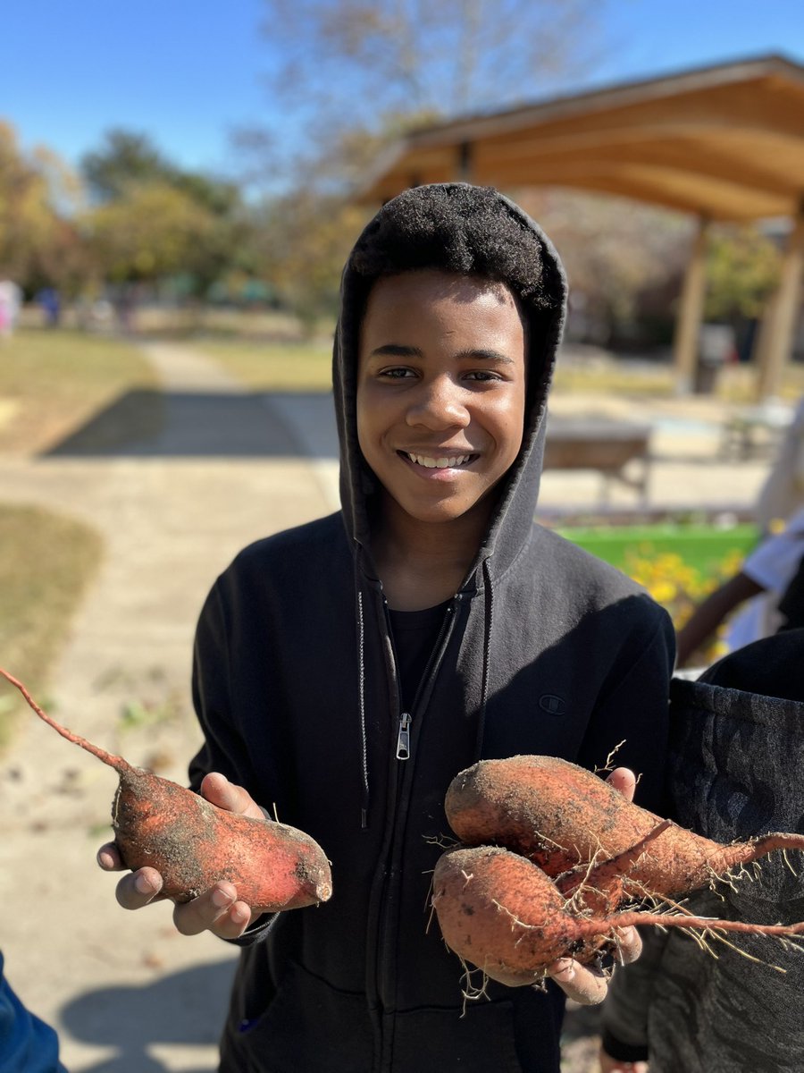 Harvested around 50 pounds of sweet potatoes from the school gardens with the help of Ms. Tenisha <a href="/FoodShuttle/">Food Shuttle</a> and the students in our Farm to Table expedition <a href="/aggieteacher12/">Jennifer</a> #schoolgardens #sustainability <a href="/Sweet_Taters/">NC SweetPotatoes</a>